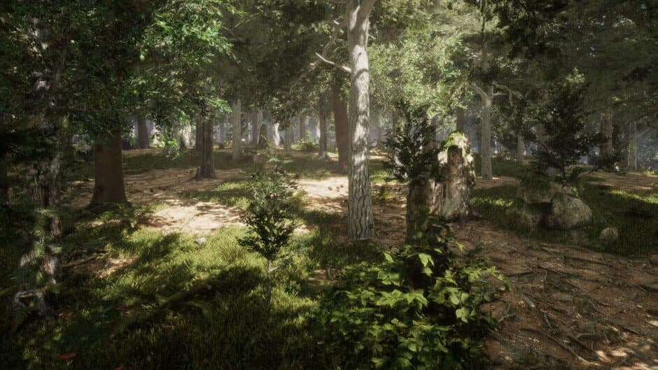 The Quinfall screenshot 8