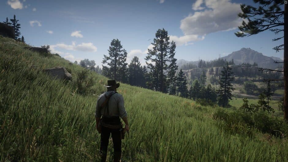 Red Dead Redemption 2 screenshot 14